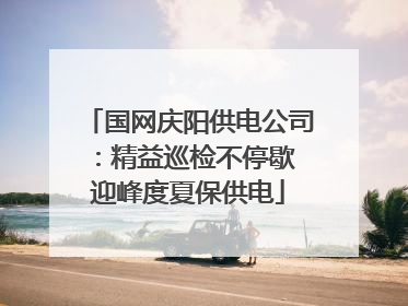 国网庆阳供电公司：精益巡检不停歇 迎峰度夏保供电
