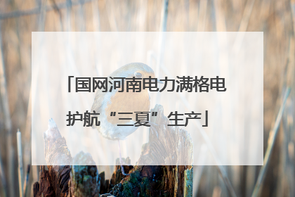 国网河南电力满格电护航“三夏”生产