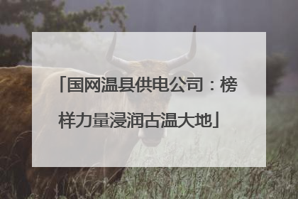 国网温县供电公司：榜样力量浸润古温大地