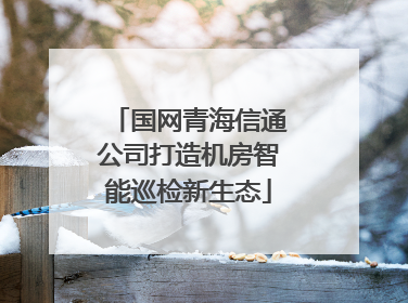 国网青海信通公司打造机房智能巡检新生态