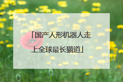 国产人形机器人走上全球最长猫道