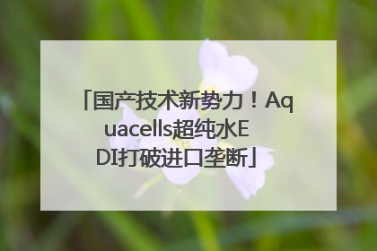 国产技术新势力！Aquacells超纯水EDI打破进口垄断