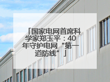 国家电网首席科学家郑玉平：40年守护电网“第一道防线”