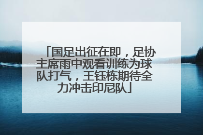 国足出征在即，足协主席雨中观看训练为球队打气，王钰栋期待全力冲击印尼队