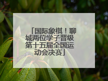 国际象棋！聊城两位学子晋级第十五届全国运动会决赛