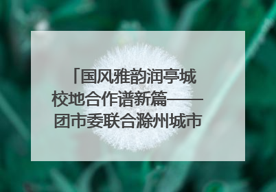 国风雅韵润亭城 校地合作谱新篇——团市委联合滁州城市职业学院助力传统文化“破圈”绽放