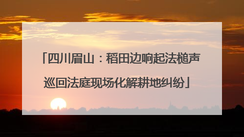 四川眉山：稻田边响起法槌声 巡回法庭现场化解耕地纠纷