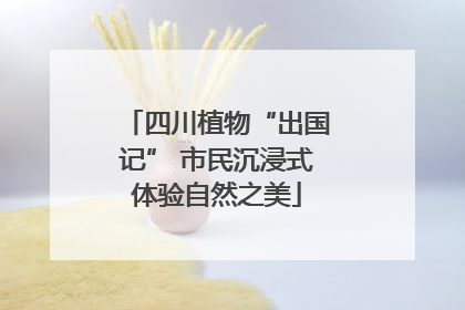 四川植物“出国记” 市民沉浸式体验自然之美