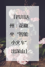 四川达州：花椒坐“智能小火车”出深山