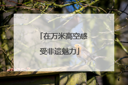 在万米高空感受非遗魅力