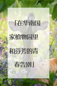 在华南国家植物园里和芬芳的青春告别