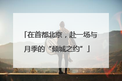 在首都北京，赴一场与月季的“倾城之约”
