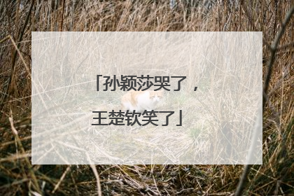 孙颖莎哭了，王楚钦笑了