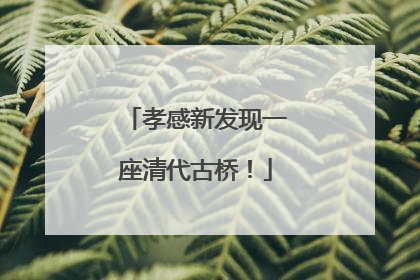 孝感新发现一座清代古桥！