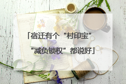 宿迁有个“村印宝” “减负锁权”都说好