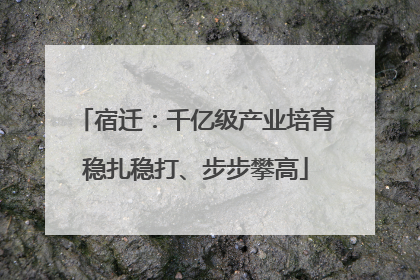宿迁：千亿级产业培育稳扎稳打、步步攀高