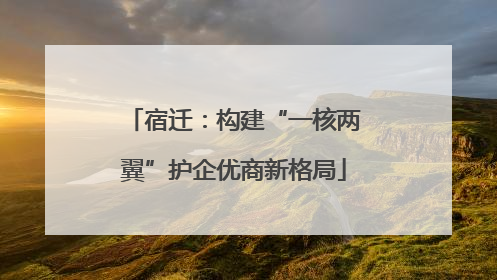 宿迁：构建“一核两翼”护企优商新格局