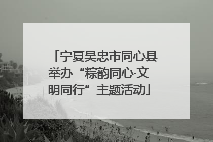 宁夏吴忠市同心县举办“粽韵同心·文明同行”主题活动