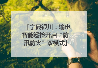宁夏银川：输电智能巡检开启“防汛防火”双模式