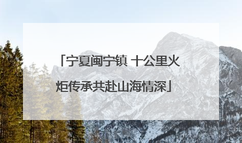 宁夏闽宁镇 十公里火炬传承共赴山海情深