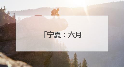 宁夏：六月头茬枸杞红