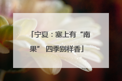 宁夏：塞上有“南果” 四季别样香