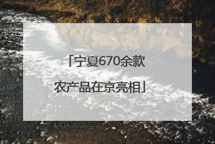 宁夏670余款农产品在京亮相