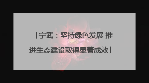 宁武：坚持绿色发展 推进生态建设取得显著成效