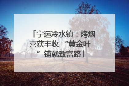 宁远冷水镇：烤烟喜获丰收 “黄金叶”铺就致富路