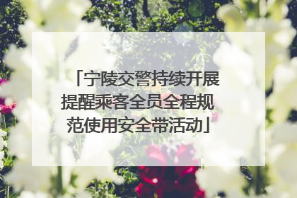 宁陵交警持续开展提醒乘客全员全程规范使用安全带活动