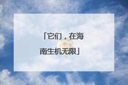 它们，在海南生机无限