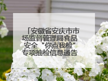安徽省安庆市市场监督管理局食品安全“你点我检”专项抽检信息通告（2025年第27期）
