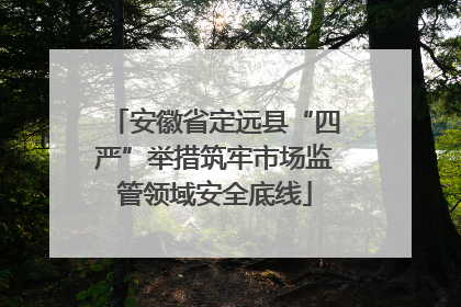 安徽省定远县“四严”举措筑牢市场监管领域安全底线