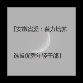 安徽省委：着力培养选拔优秀年轻干部
