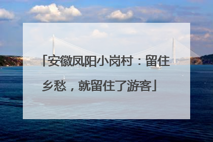 安徽凤阳小岗村：留住乡愁，就留住了游客