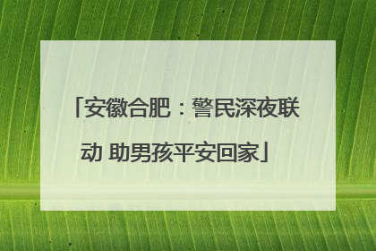 安徽合肥：警民深夜联动 助男孩平安回家