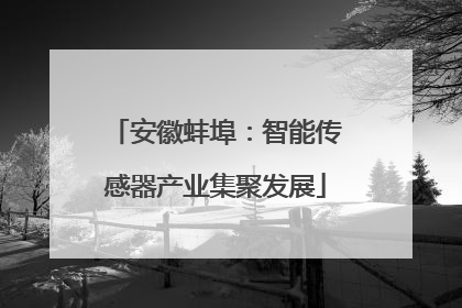 安徽蚌埠：智能传感器产业集聚发展