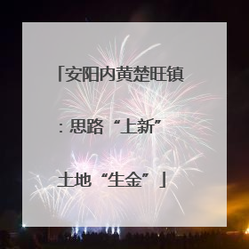 安阳内黄楚旺镇：思路“上新” 土地“生金”
