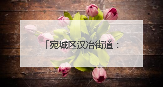 宛城区汉冶街道：党员干部进企业 精准服务促发展