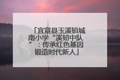 宜章县玉溪镇城南小学“溪韧中队”：传承红色基因 锻造时代新人