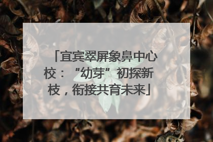 宜宾翠屏象鼻中心校：“幼芽”初探新枝，衔接共育未来