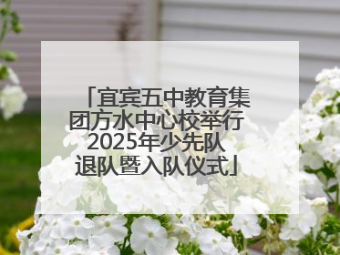 宜宾五中教育集团方水中心校举行2025年少先队退队暨入队仪式