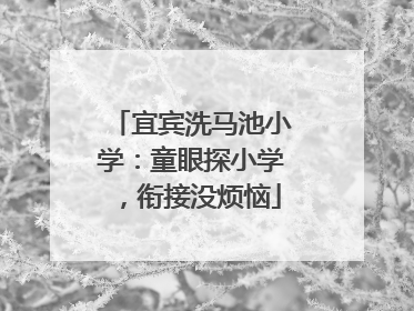 宜宾洗马池小学：童眼探小学，衔接没烦恼