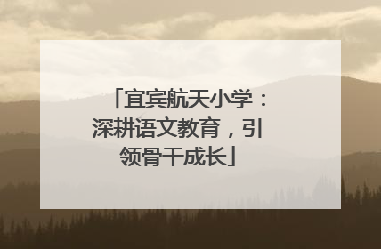 宜宾航天小学：深耕语文教育，引领骨干成长