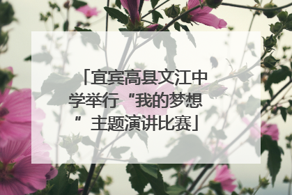 宜宾高县文江中学举行“我的梦想”主题演讲比赛