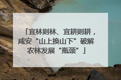 宜林则林、宜耕则耕，咸安“山上换山下”破解农林发展“瓶颈”