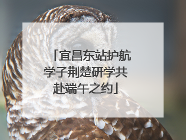 宜昌东站护航学子荆楚研学共赴端午之约