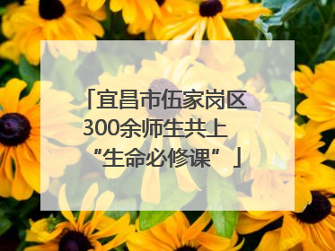 宜昌市伍家岗区300余师生共上“生命必修课”