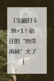 宝藏打卡地+1！宿迁的“热带雨林”火了