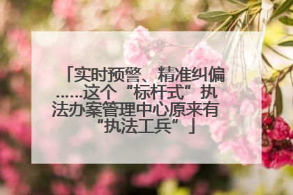 实时预警、精准纠偏……这个“标杆式”执法办案管理中心原来有“执法工兵”